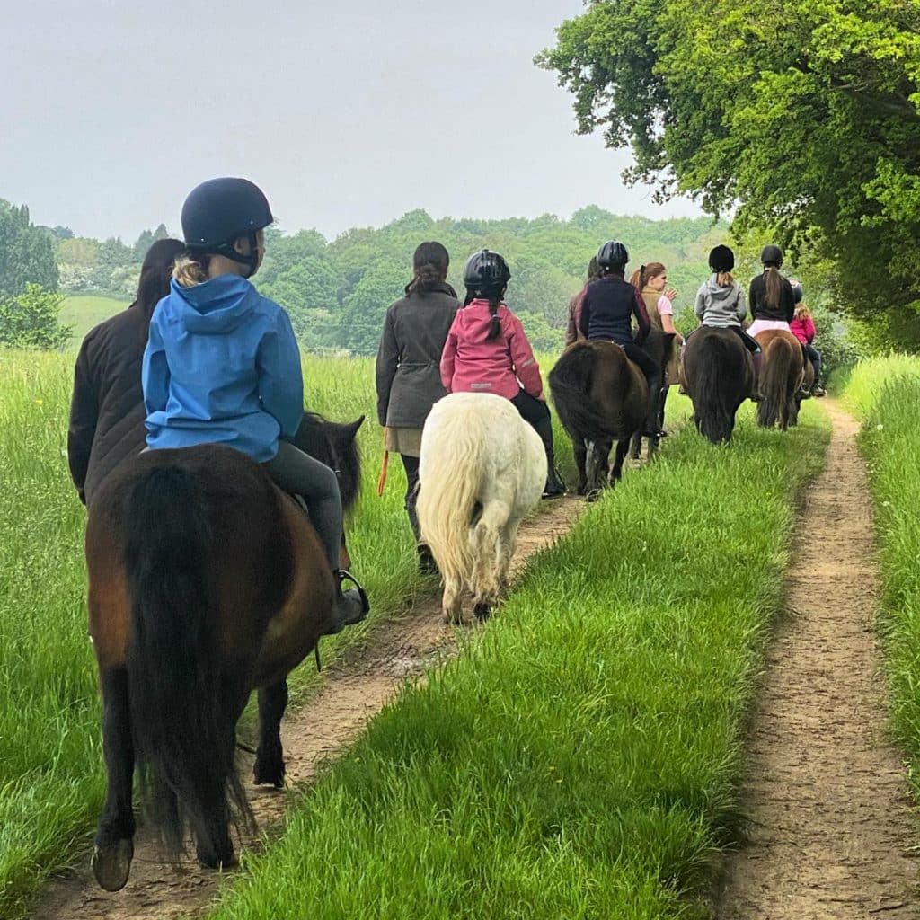 Pony Crew Membership at Shetland Pony Club
