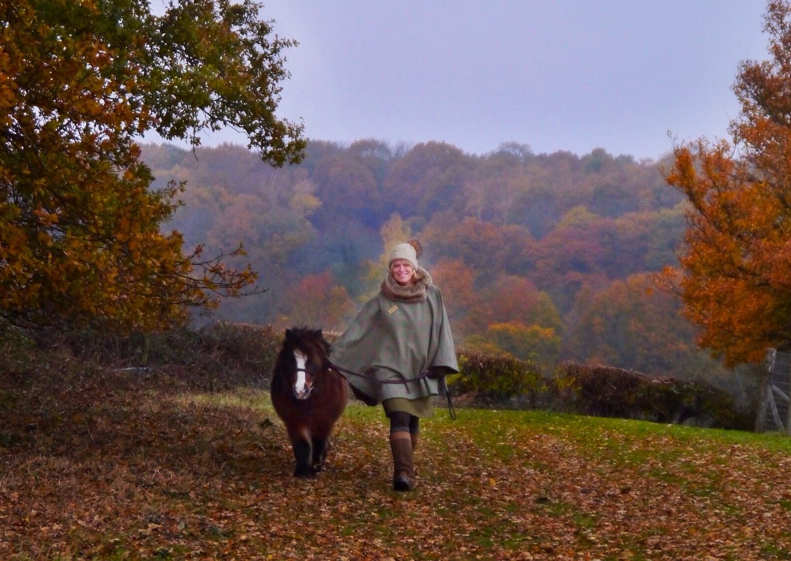 Shetland Pony Walking in the Autumn